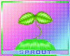 ⓢ Head Sprout v2