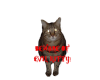 Evil Kitty