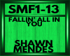 shawn mendes SMF1-13