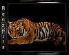 ANIMATED TIGER  /PET