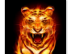 Savage Starz lion flame