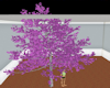 Light Purple Flower Tree