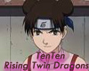 Rising Twin Dragons