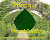 Priest hat Ritual Earth