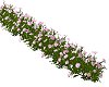 1Lu Flowers