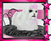 ☆ Ice Princess Puppy