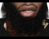 im him beard