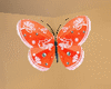[MK]  butterfly t6