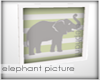 ~LDs~ele Elephant frame2