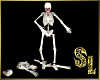 *Skeleton Avatar Animat.