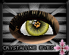 Yellow Pawprint Eyes