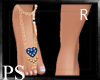 {PS}  Blue F.Chain R
