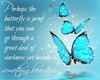 Butterfly Poem
