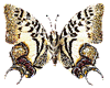 Glitter Butterfly(ani)