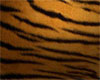Square Tiger Print Rug