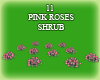 (IKY2) 11 PINK ROSES SHR