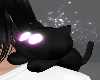 Black Shoulder Kitten 2