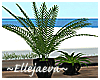 Lux Plants in Vases