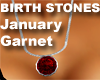 Birthstone Necklace