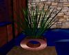 Grass Planter