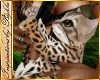 I~Leopard Cub+Brush