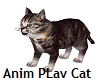 Anim Play Cat