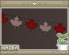 [M] Canada Leaf Banner