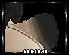 BK: Jax Tail 2