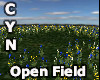 Open Field w/ Flowers