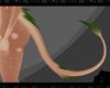 *Mushroom Grass Tail*