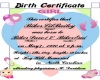 BB's Birth certificate 2