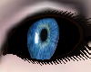 Evil Blue Eye