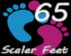 Scaler Feet 65