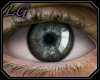 [LG] Greymoor Eyes