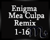 Enigma - Mea Culpa