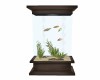 WOOD Tower AQUARIUM