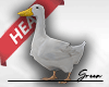 🦆 Real Duck M [H]