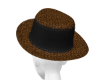 MrC Classy Brown Hat F