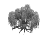 Willow Tree Gray