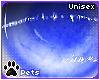 [Pets] Kia | eyes v2