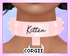 C | Kitten Collar