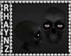 Halloween Skull HEAD (M)