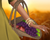 Grateful Fruit Basket