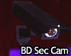 BD Security Camera