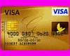 Falling Visas+Song Clip