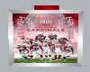 CARDINALS Framed #3