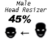 Head Resizer Avatar 45%