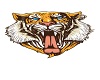 KIT tiger logo