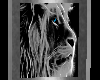 [SD] Lion Picture