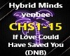 HYBRIDMINDS- DNB
